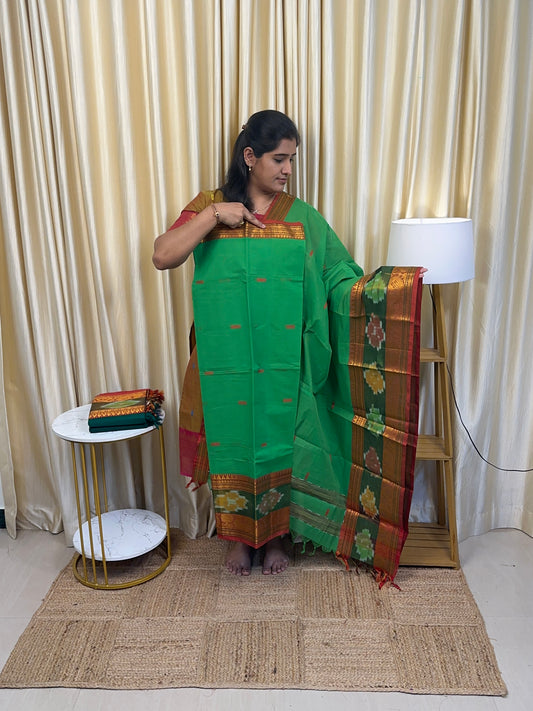 Light green Pochampalli border kanchi cotton