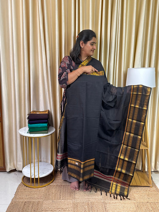 Vintage Narayanpet  Dress material (4.5m Top)-Viga 9