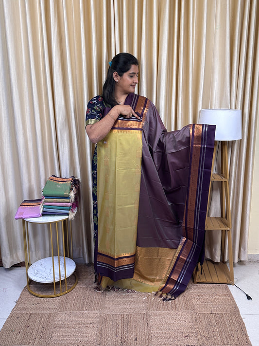 Semi Gadwal  soft silk 2 piece set-GWS27