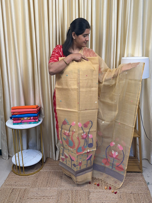 Muslin Jamdhani [handwork]-1