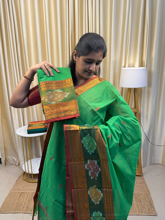 Light green Pochampalli border kanchi cotton