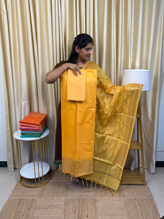 Brocade Banarasi vannam silk by cotton -8