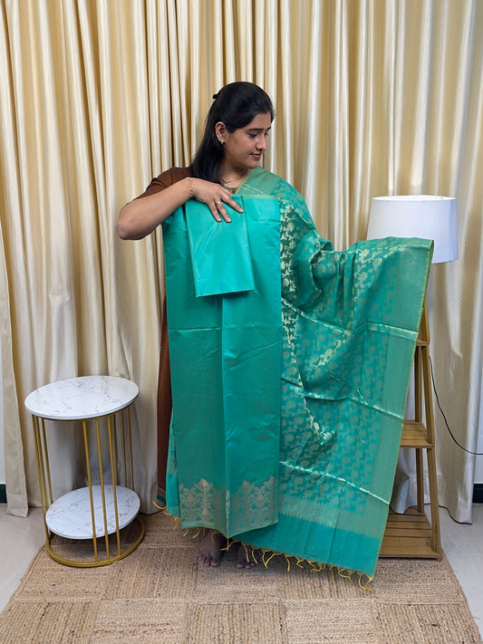 Brocade Banarasi vannam silk by cotton -5