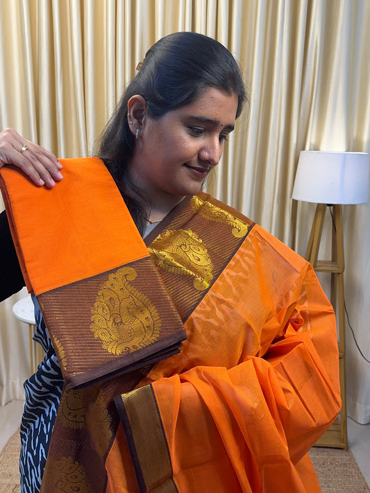 Saffron Mayil border kanchi cotton